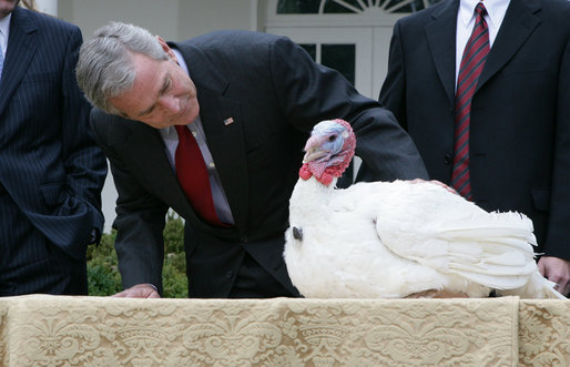 bush-2007-turkey.jpg