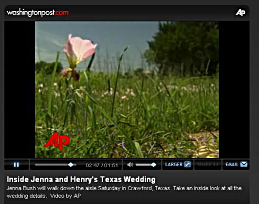 bush-wedding-thistle.JPG