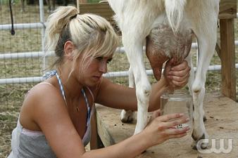 farmer-takes-a-wife-lisa-lewolt-milking.jpg